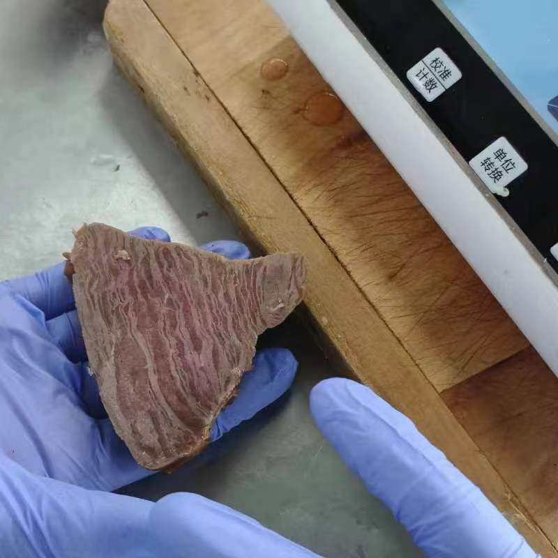 6 月初，菲特研發(fā)部到青島特斯特公司深入交流